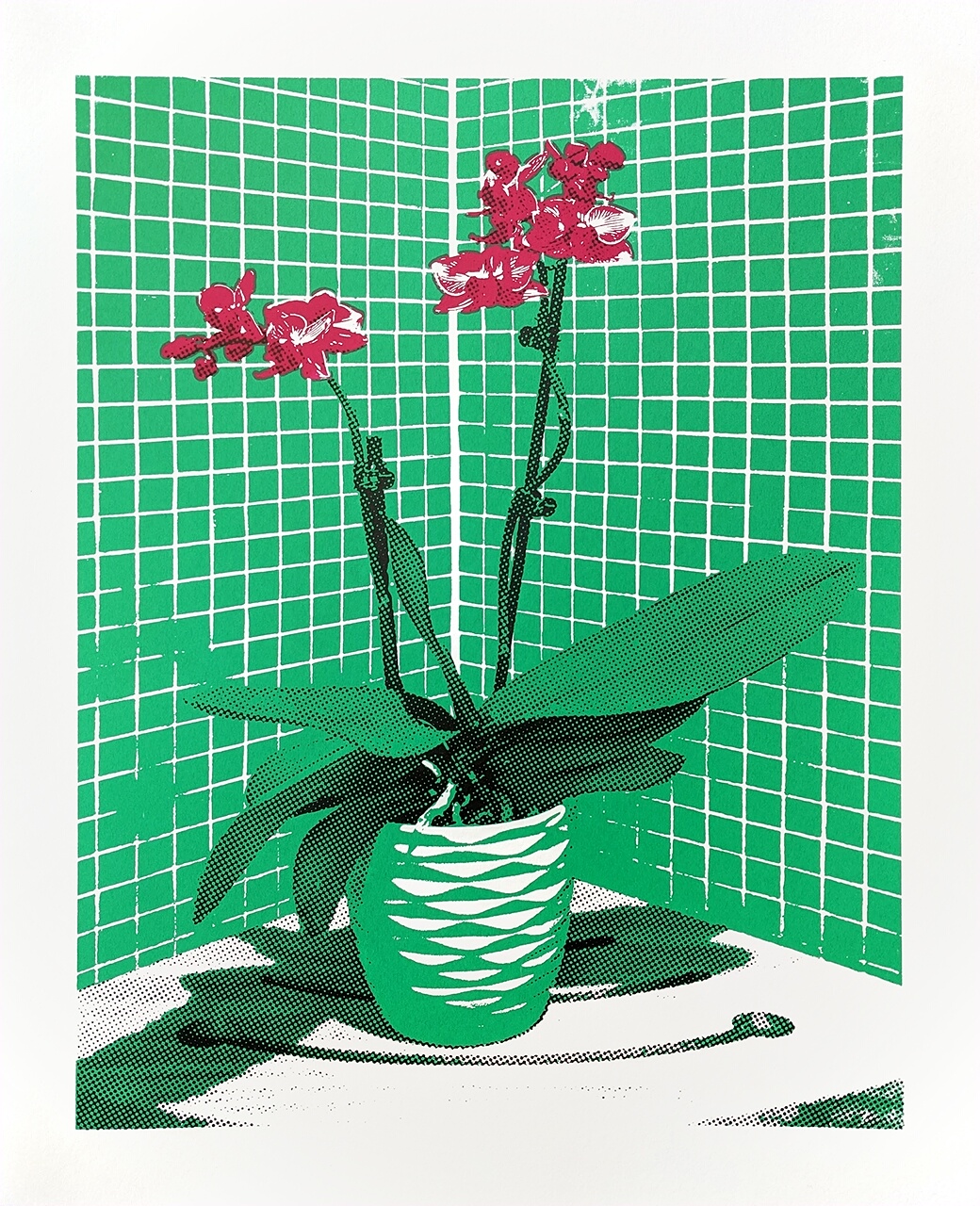 Orchid in Shower