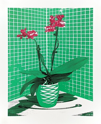 Orchid in Shower